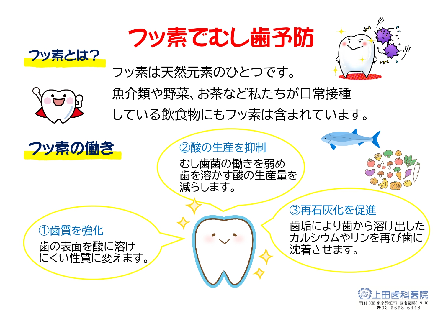 フッ素２