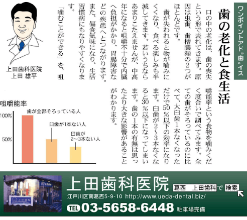 歯の老化と食生活